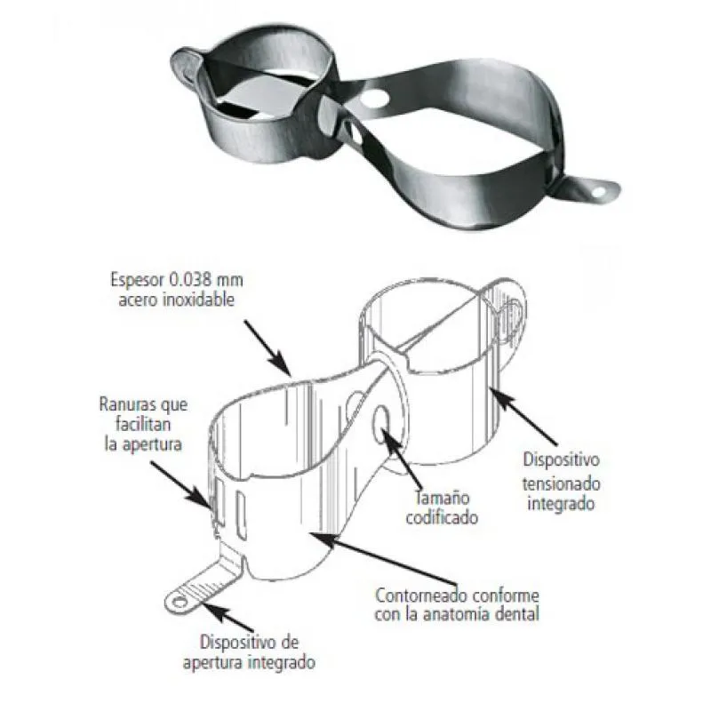 MATRICES METAFIX MOLAR - REGULAR