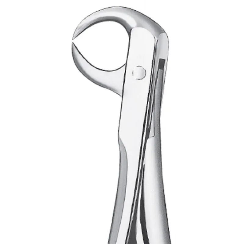 FÓRCEPS MOLARES INFERIORES  PICO DE LORO FIG. 86C