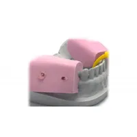 SILICONA GINGI ELÁSTICA XPLORA SILICONA GINGI ELÁSTICA XPLORA